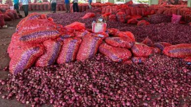 Onion Prices Remain High Despite Government's Rs 35/kg Buffer Sale