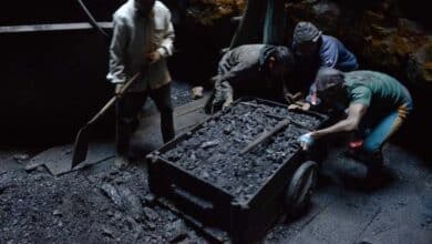 Tara Coal Block Auction Sparks Controversy and Market Interest