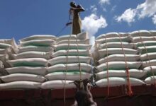UN Reports 1.9% Increase in Global Food Prices, Highest Since 2022 Due to Weather and War Disruptions