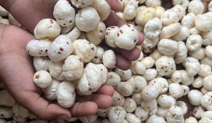 Bihar's Makhana Sees International Success with Greek Export