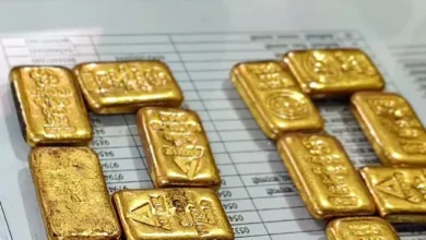 DRI Foils Major Gold Smuggling Attempt Along Indo-Bangladesh Border
