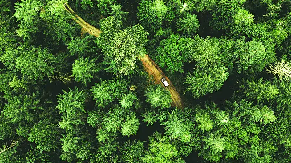 India's Biodiversity Authority Secures Rs 9.68 Crore from Biological Resources
