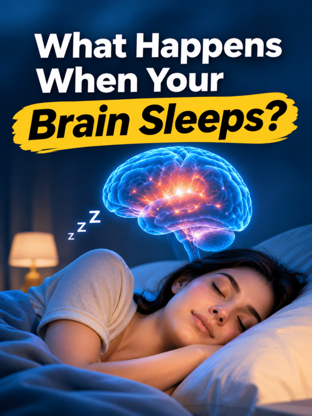 What Happens When Your Brain Sleeps?